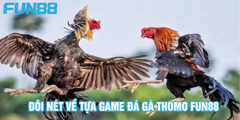 Đá Gà Thomo FUN88 - Sàn Đấu Hấp Dẫn Không Nên Bỏ Qua 2025 5 Đôi nét về tựa game đá gà Thomo Fun88